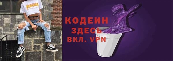 шишки Абаза