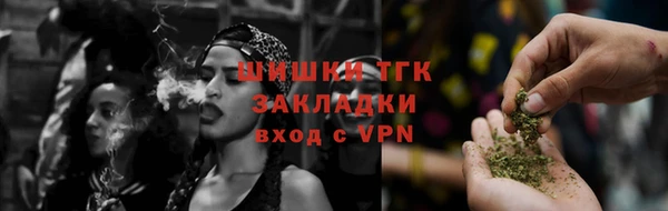 шишки Абаза