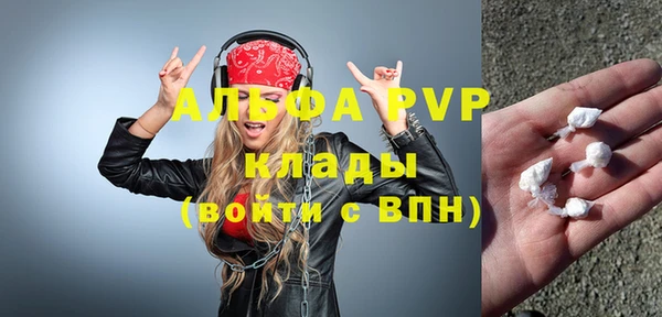 шишки Абаза