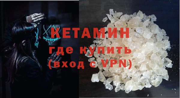 шишки Абаза