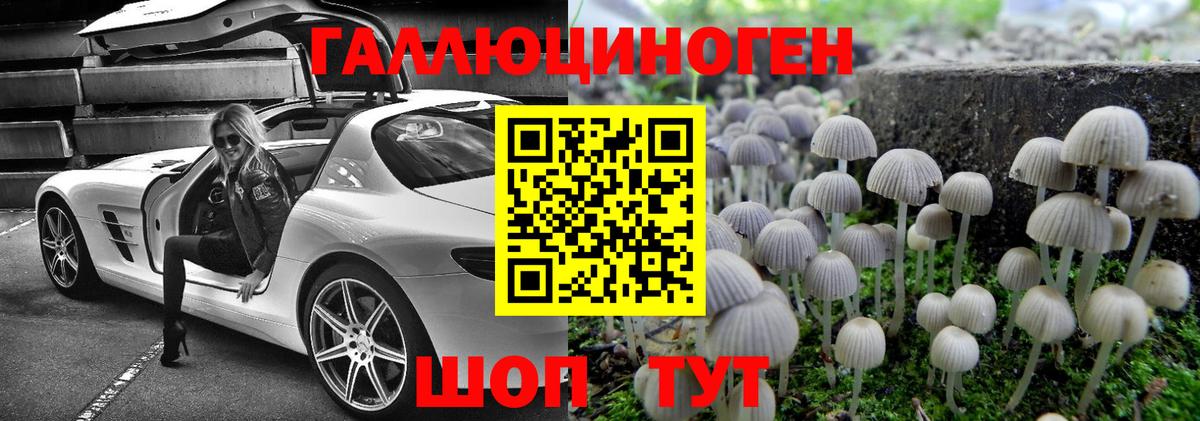 Галлюциногенные грибы мицелий  Галлюциногенные грибы прущие грибы  Вход с VPN  Севастополь 
